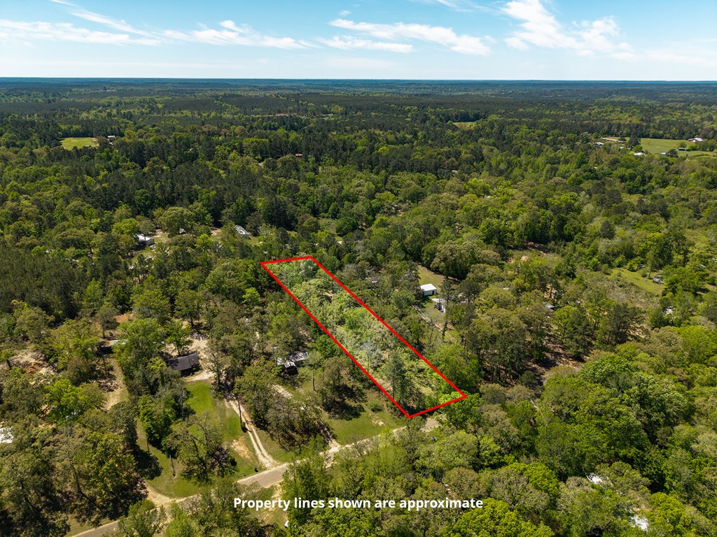 442 County road 514