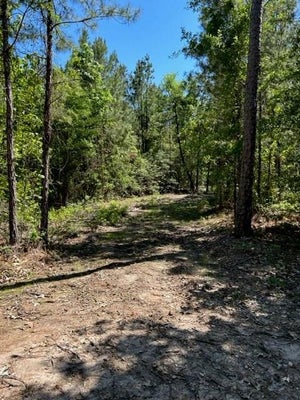 39-B FM 1751, BROADDUS, TX 75929 - Image 98e09778f8d363f2279e23cef36d8a2f/1418428622