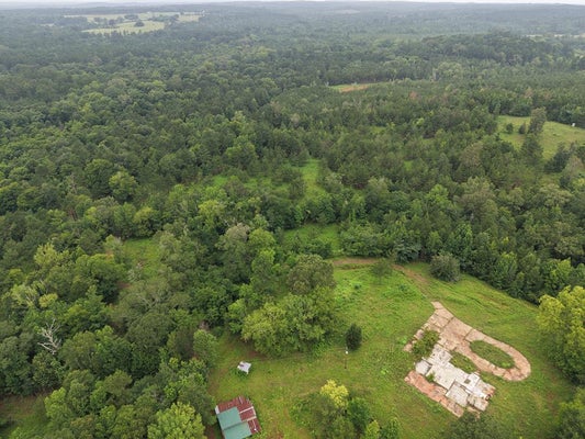 1370 LICK SKILLET RD, MILAM, TX 75959 - Image 9e8b47dc145d7dc32f4d21f856eb53ff/2688917932