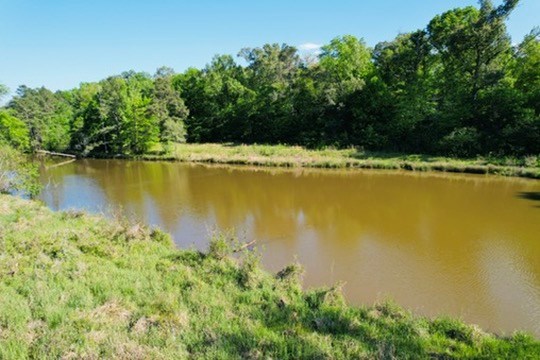 7930 US HWY 59 N