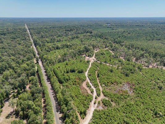 18676 FARM TO MARKET RD 1013, SPURGER, TX 77660 - Image b6f04bafe3d928aee79b2eecfcbf5620/4148704136