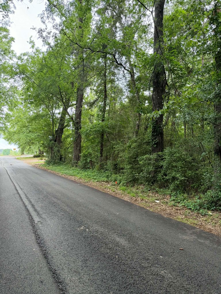 Lot 1 Old Gobblers Knob Rd