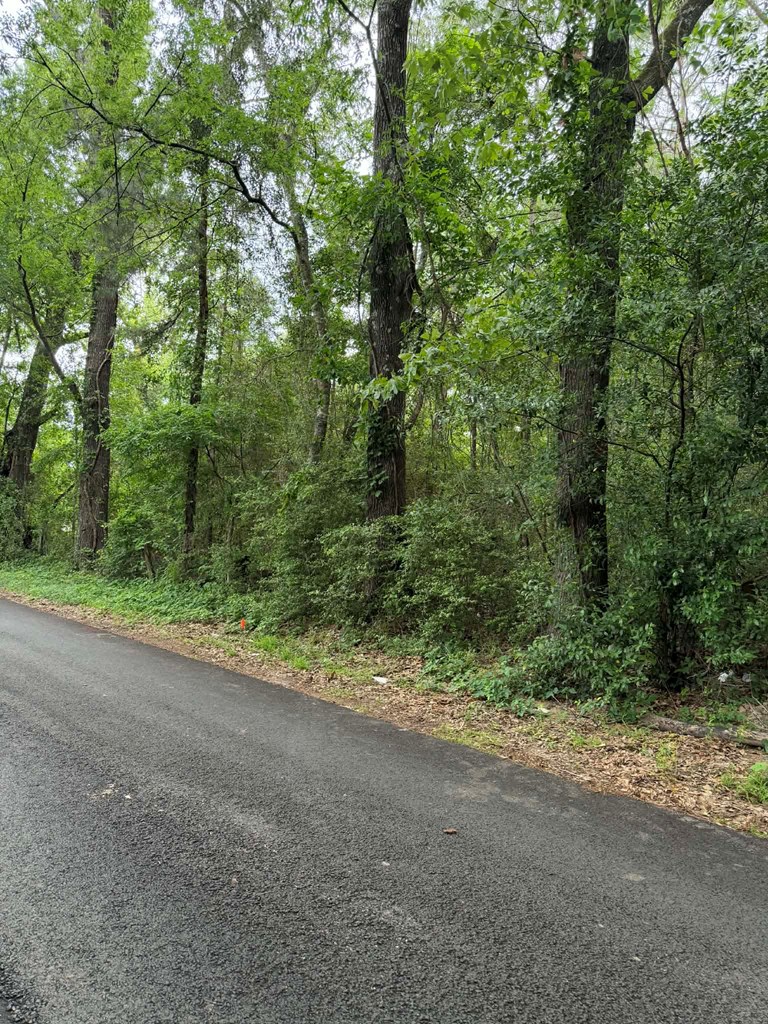Lot 1 Old Gobblers Knob Rd