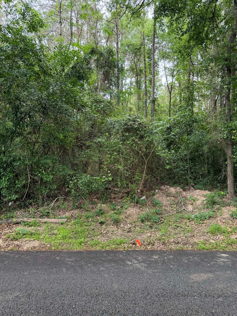 Lot 1 Old Gobblers Knob Rd