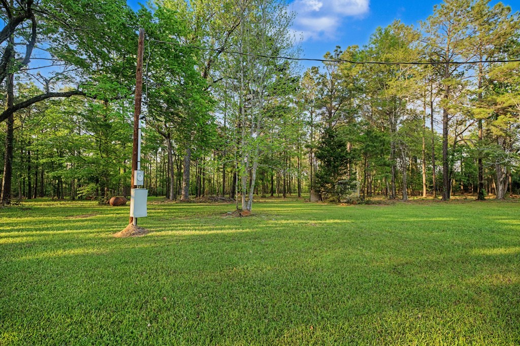970 County Road 298