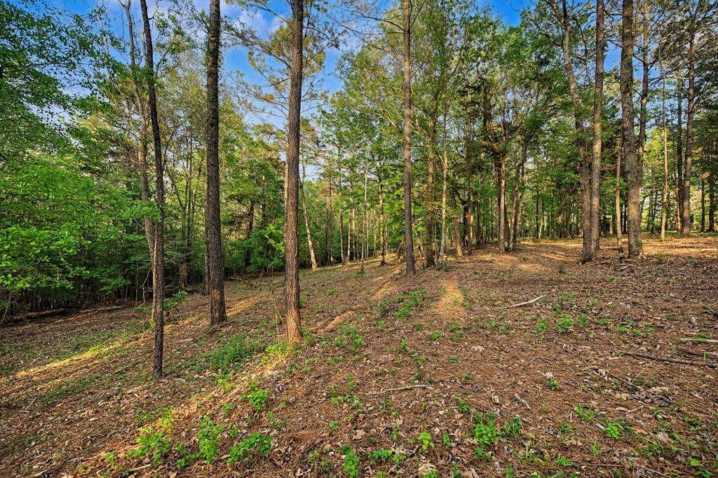 970 County Road 298