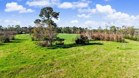 1769 CR 217 Nacogdoches TX 75965