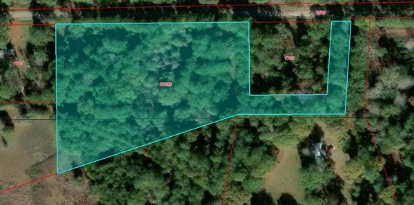 0000 BOURLON ROAD, SILSBEE, TX 77656 - Image bd07798022ffaf33d974e82c4eda4d55/1817464591