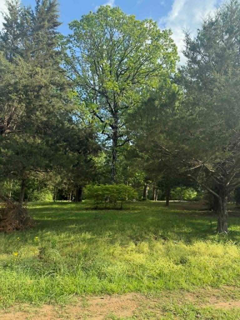 871 County Road 1044