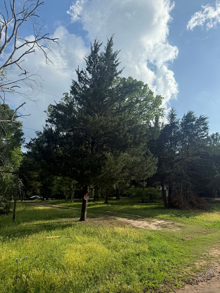 871 County Road 1044