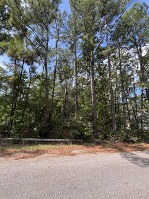 DUFFER DR, BROOKELAND, TX 75931 - Image bebb1dba8d80a5aedeb1b25d501c29fd/2313063780