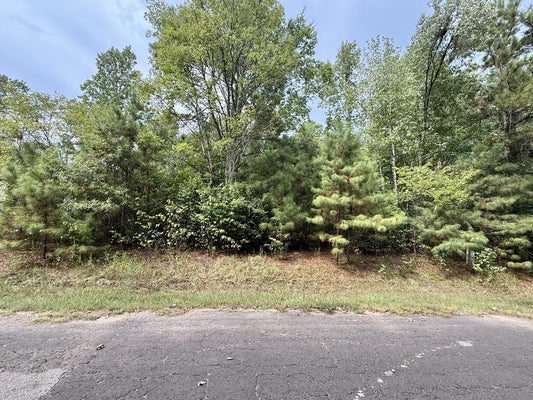 225 KENNON DR, HEMPHILL, TX 75948 - Image c0aa897ae6bae06be0940294fd4e98dc/3038398868