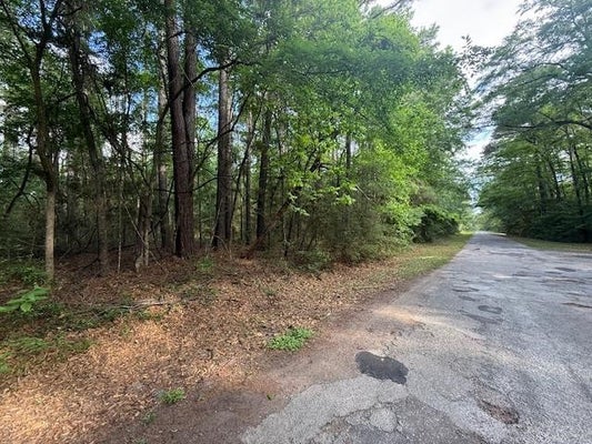 901 BOWLINE DR LOT, HEMPHILL, TX 75948 - Image c2b70f36892affd9241eec2a8840fc39/2354453690