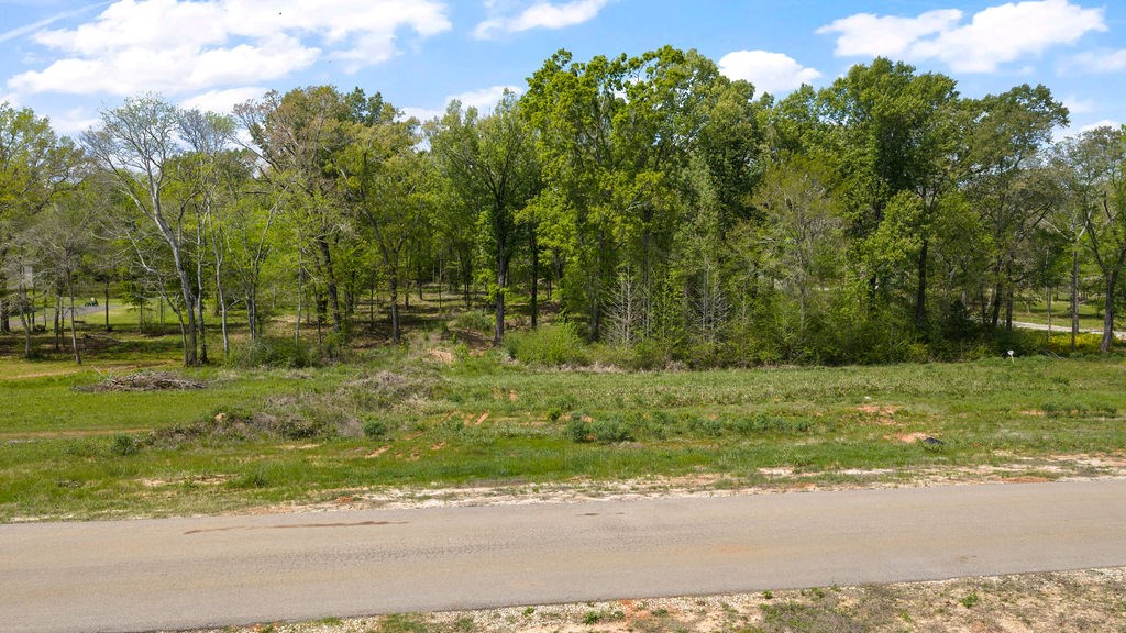 181 Oak Springs