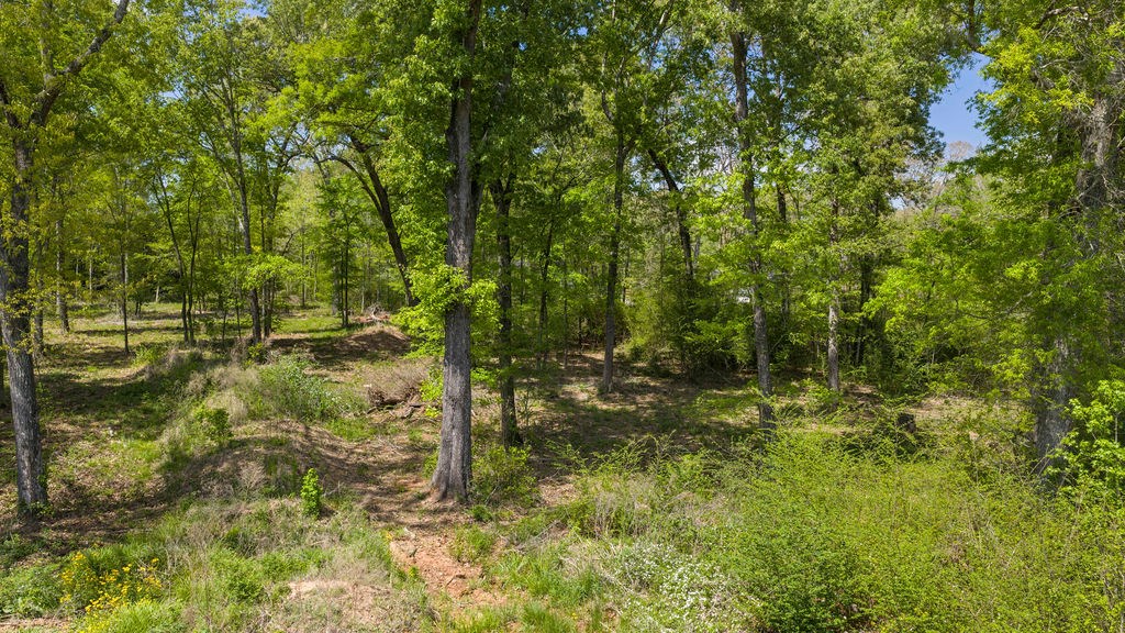 181 Oak Springs