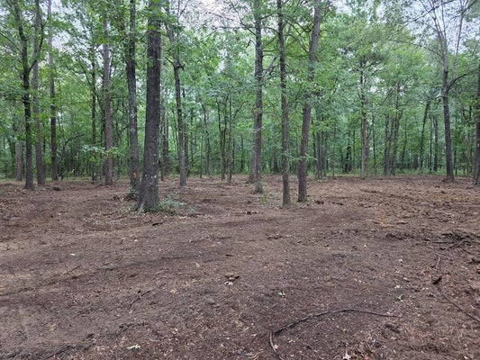111 PLUM ST, RUSK, TX 75785 - Image cd4c5bc5797fa4fb8f86579eb258b9e4/4260784302