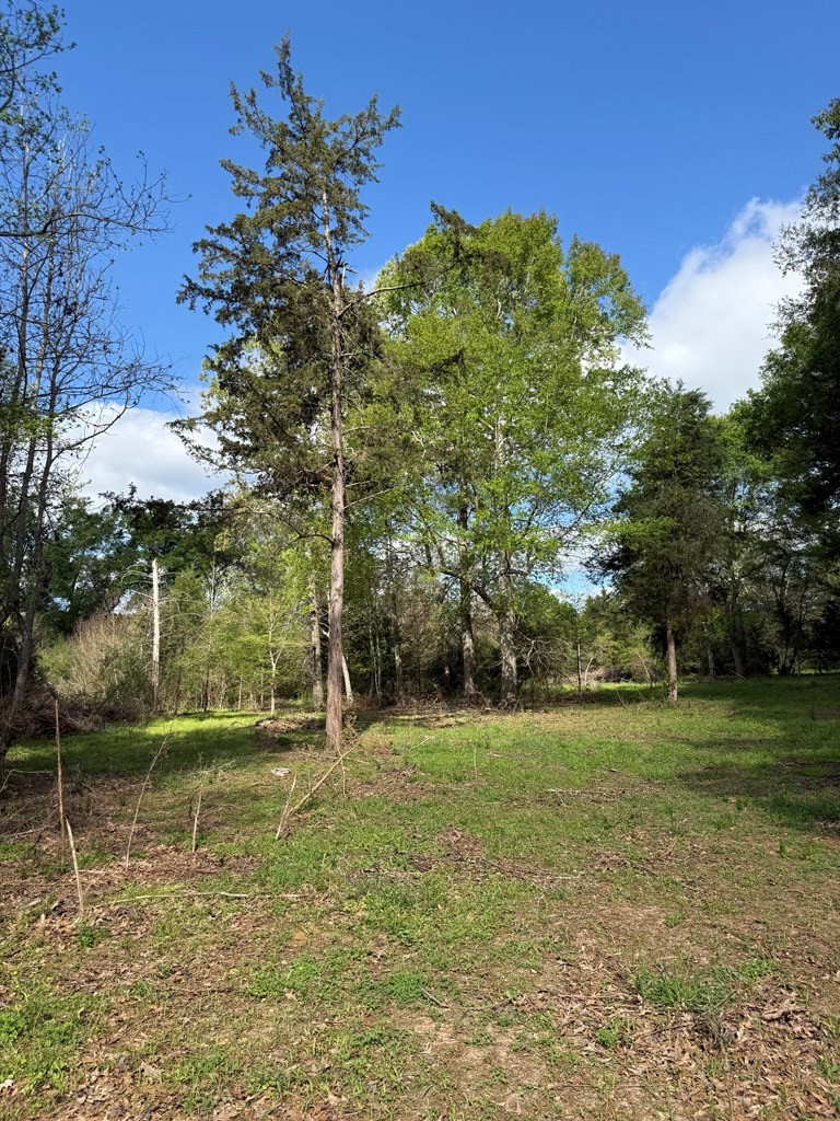 946 Happy Land Road
