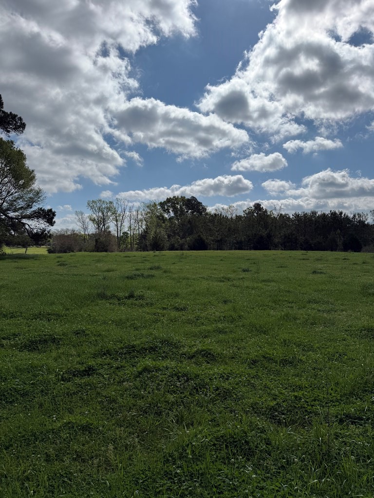 946 Happy Land Road
