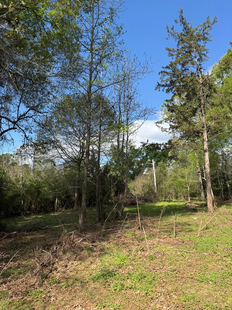 946 Happy Land Road