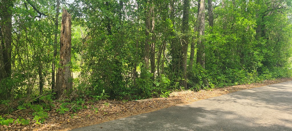 740 Gibsonville Road
