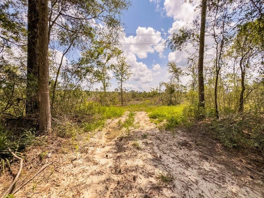 R53358 TRACT 1 HWY 94, APPLE SPRINGS, TX 75926 - Image ddf346ae69d86242552179735f7eacbd/1087270733