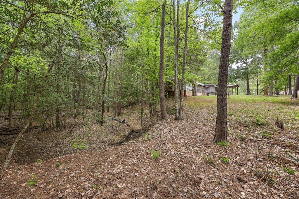 125 Crest Cir