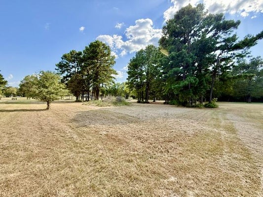 125 SUNRAY LN, HEMPHILL, TX 75948 - Image e86fe776b4c2d0338e3ddef8b6c8d5d6/1851282505
