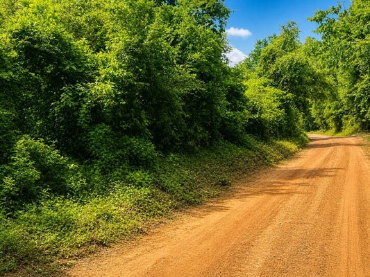 134 COUNTY RD 175, GARRISON, TX 75946 - Image f7fcae92ec3a76dda03e10e045e0e83d/3634769747