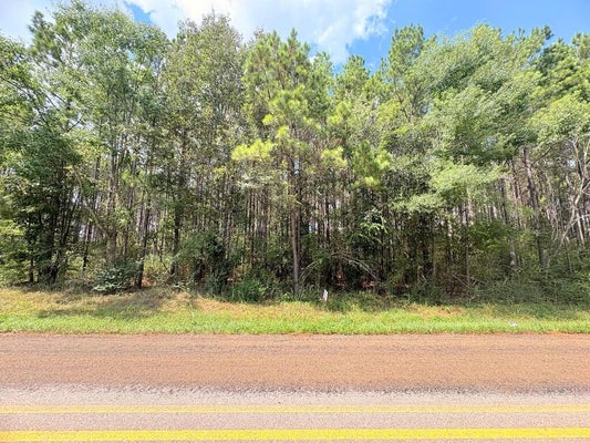 FARM-TO-MARKET ROAD 1751, SAN AUGUSTINE, TX 75972 - Image fa8e0122c0ef52844c68f696956c1ddf/3955758573