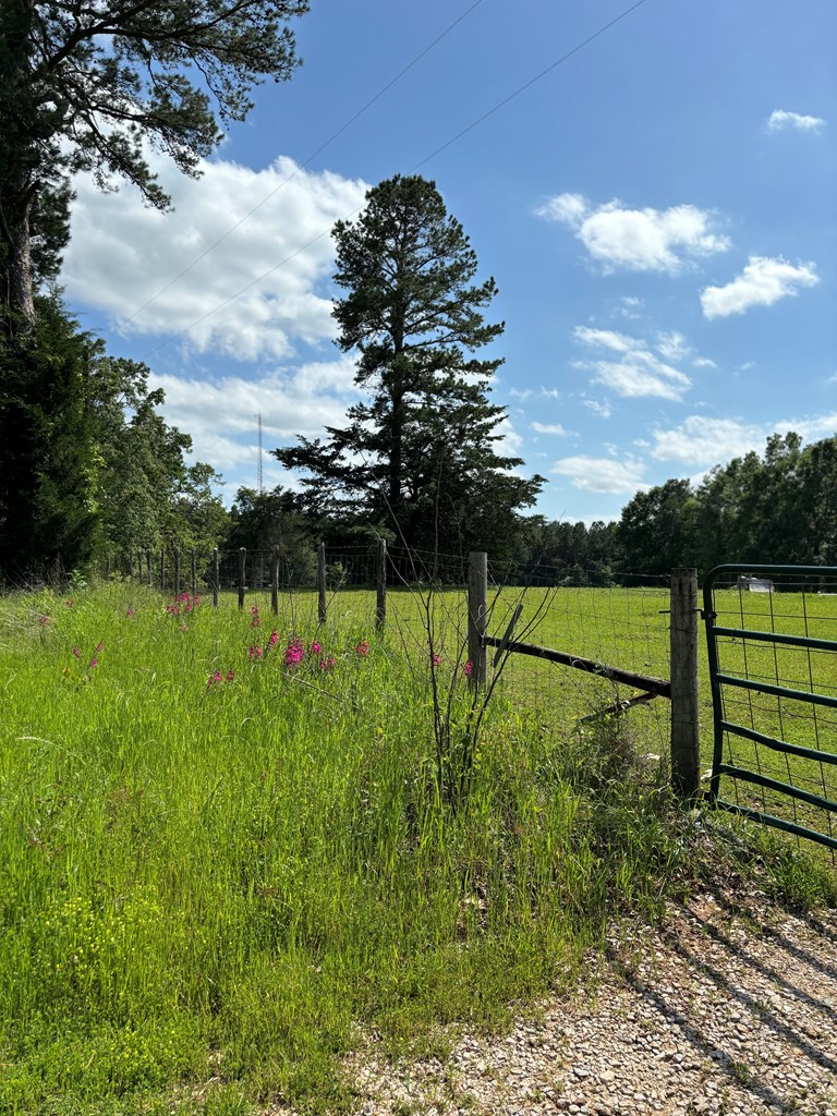#25446 County Road 1488