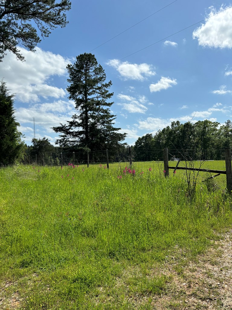 #25446 County Road 1488