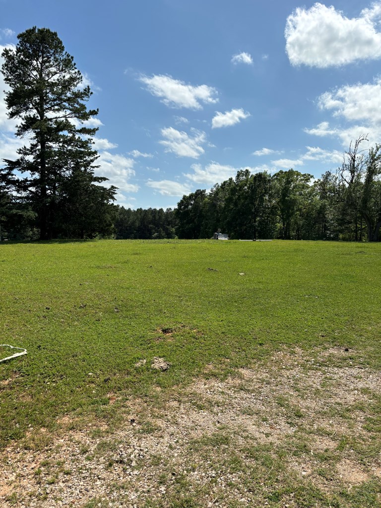 #25446 County Road 1488