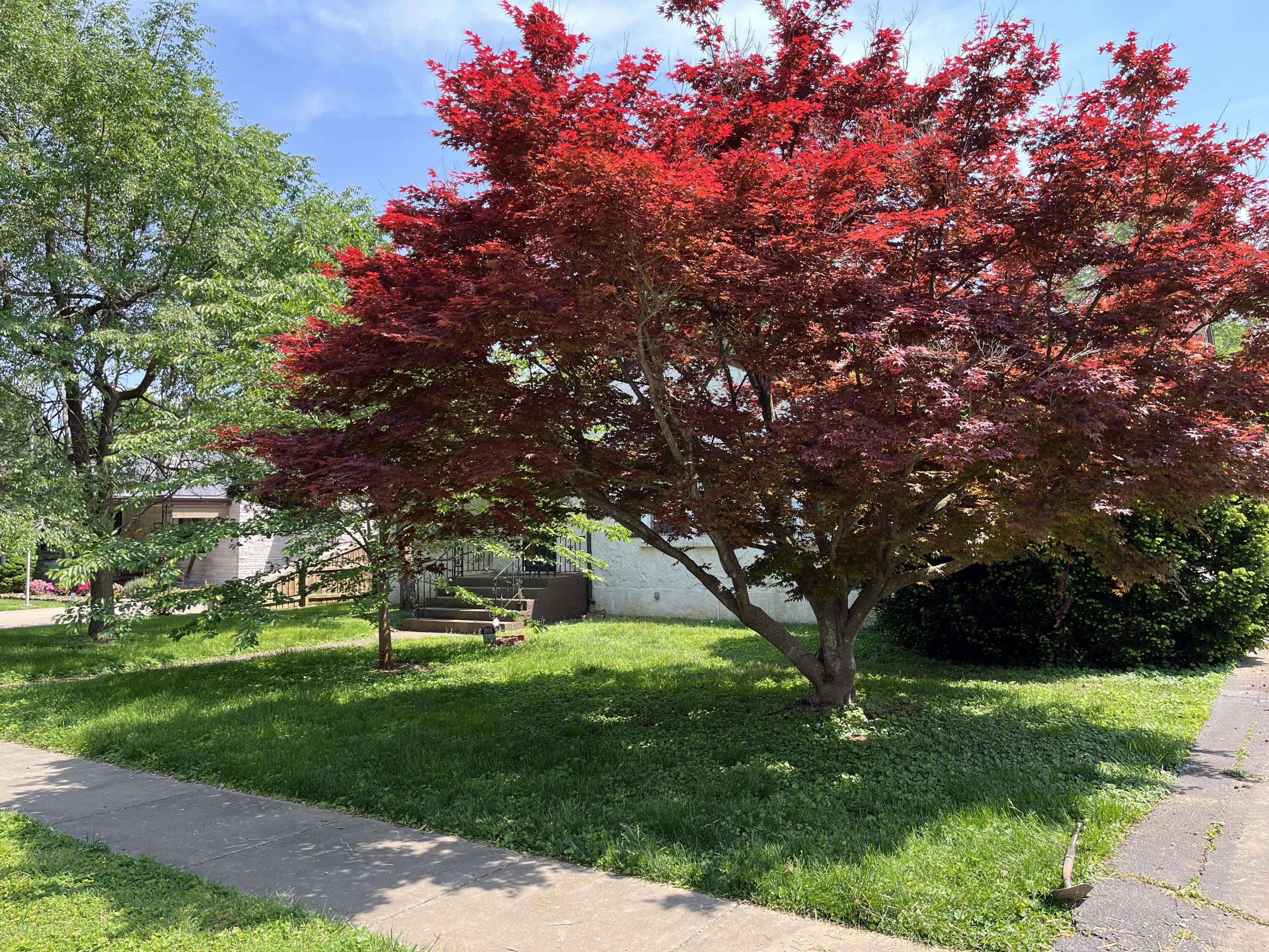 University Heights - Residential
