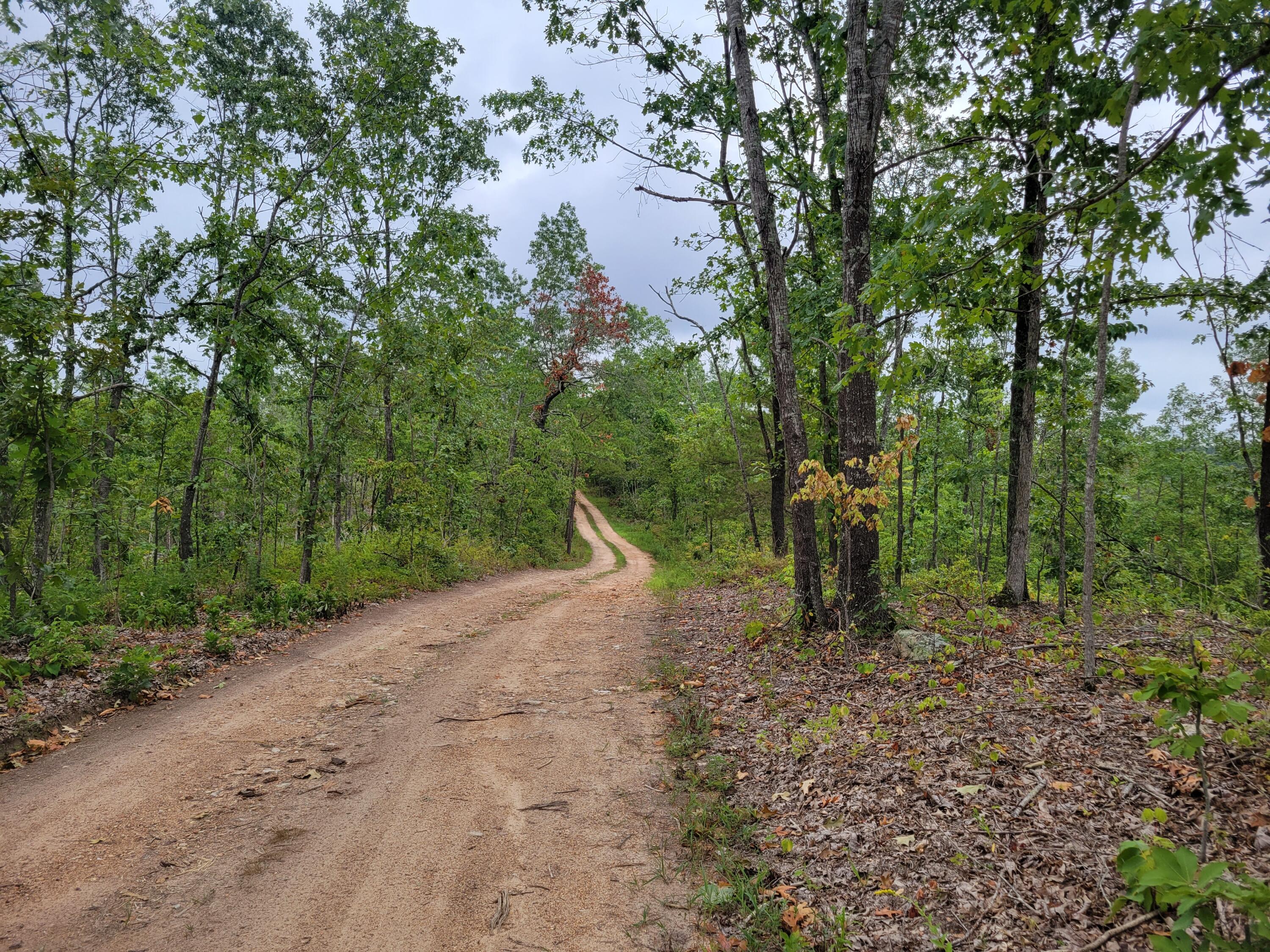 Wooded 30 acre parcel down shared private drive in the heart of the Ozarks near Eminence, MO. This rolling timber is privately tucked away down a 1 mile deeded easement with just a few neighbors beyond it. There are logging trails to help navigate through the property. It is an open book waiting for your vision for hunt camp, home, or homestead. This is wild country with a healthy deer and turkey population and even some bears nearby. Current owners have found plenty of morels in the spring. The timber surrounding this property is vast allowing bucks to hide from humanity and mature. There is a great building site that could have a gorgeous distant hillside view if one wanted to open up the timber and power located on the neighbor to the south. This property is located in River Country: 9 Miles to Round Springs on the Current River, 12 miles to Echo Bluff State Park on Sinking Creek, 10 miles to Eminence on the Jacks Fork River. The Eminence area is known for its crystal clear rivers for fishing and kayaking/canoeing, the thousands of acres of public ground including the Mark Twain National Forest and many State Conservation Areas for hunting, State Parks for camping and hiking, incredible horseback riding trails, the re-introduction of elk further east, and the wild horses. Missouri now has limited bear and elk tags! There is no shortage of recreation in this area for you to enjoy. Whether looking for a place to build a permanent home, homestead, or base camp to get away, this place is worth a look!
