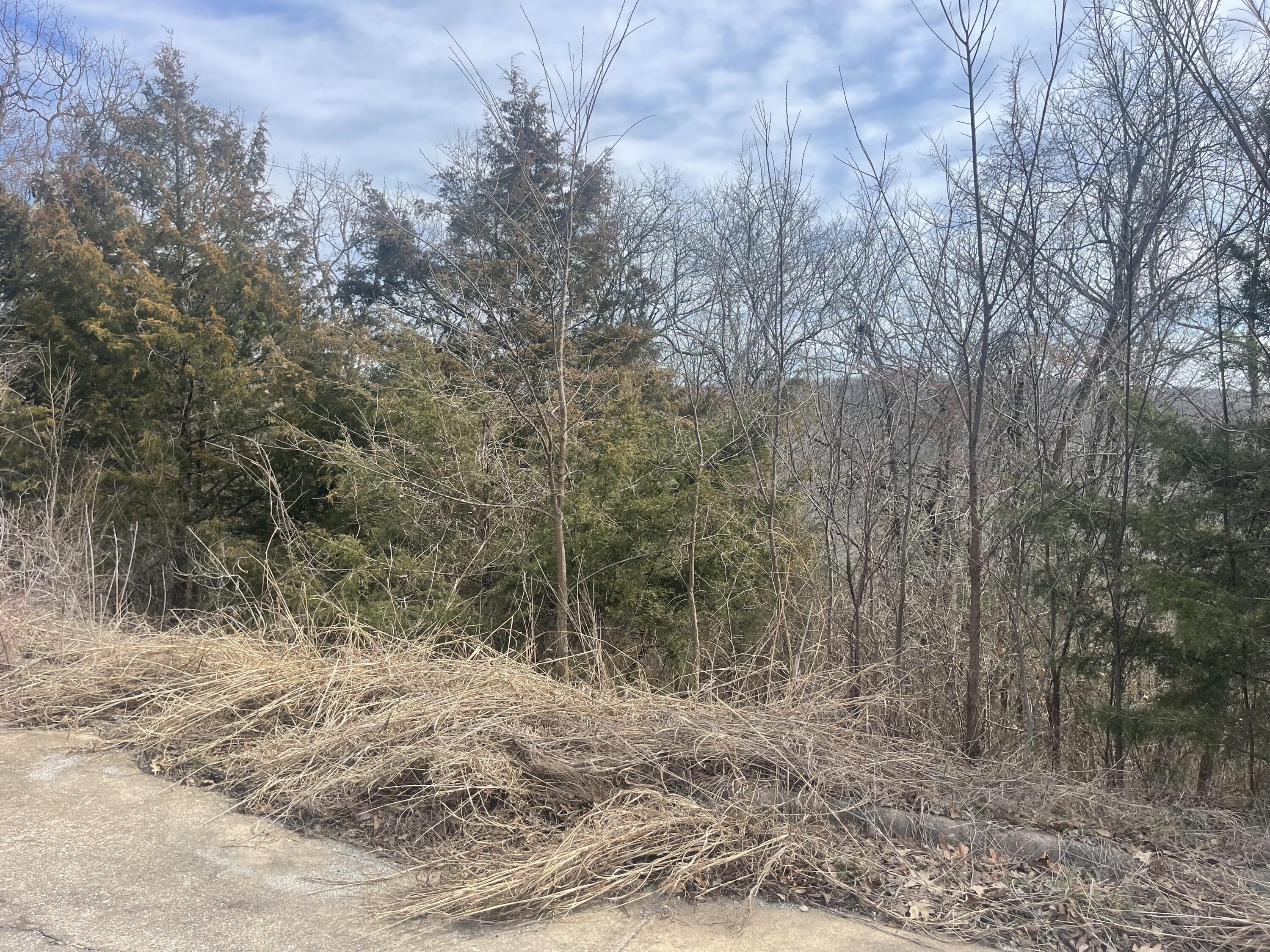 Build your beautiful home here at Emerald Point. Lot is perfect for a walk out basement.