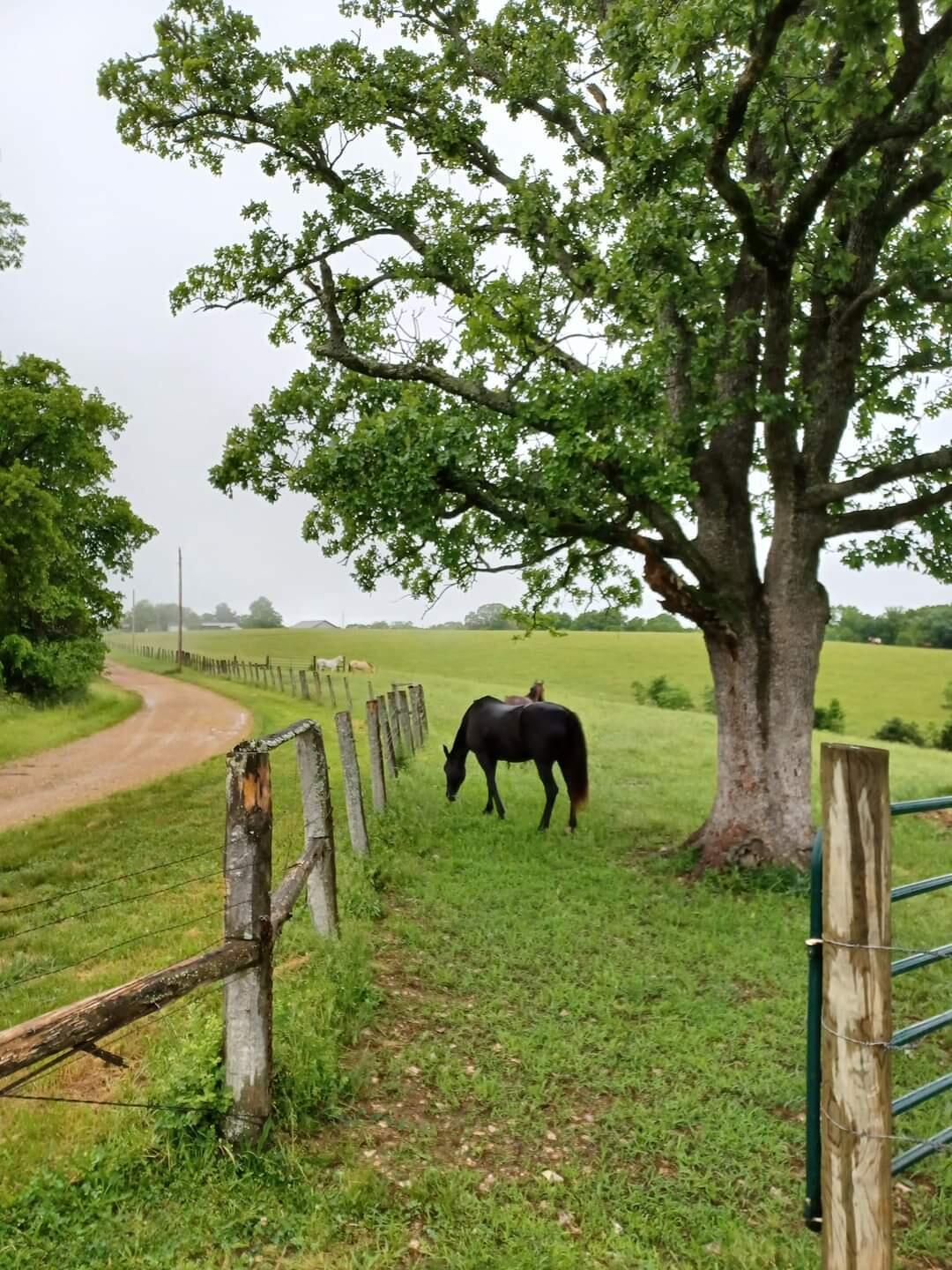 N/A - Farm