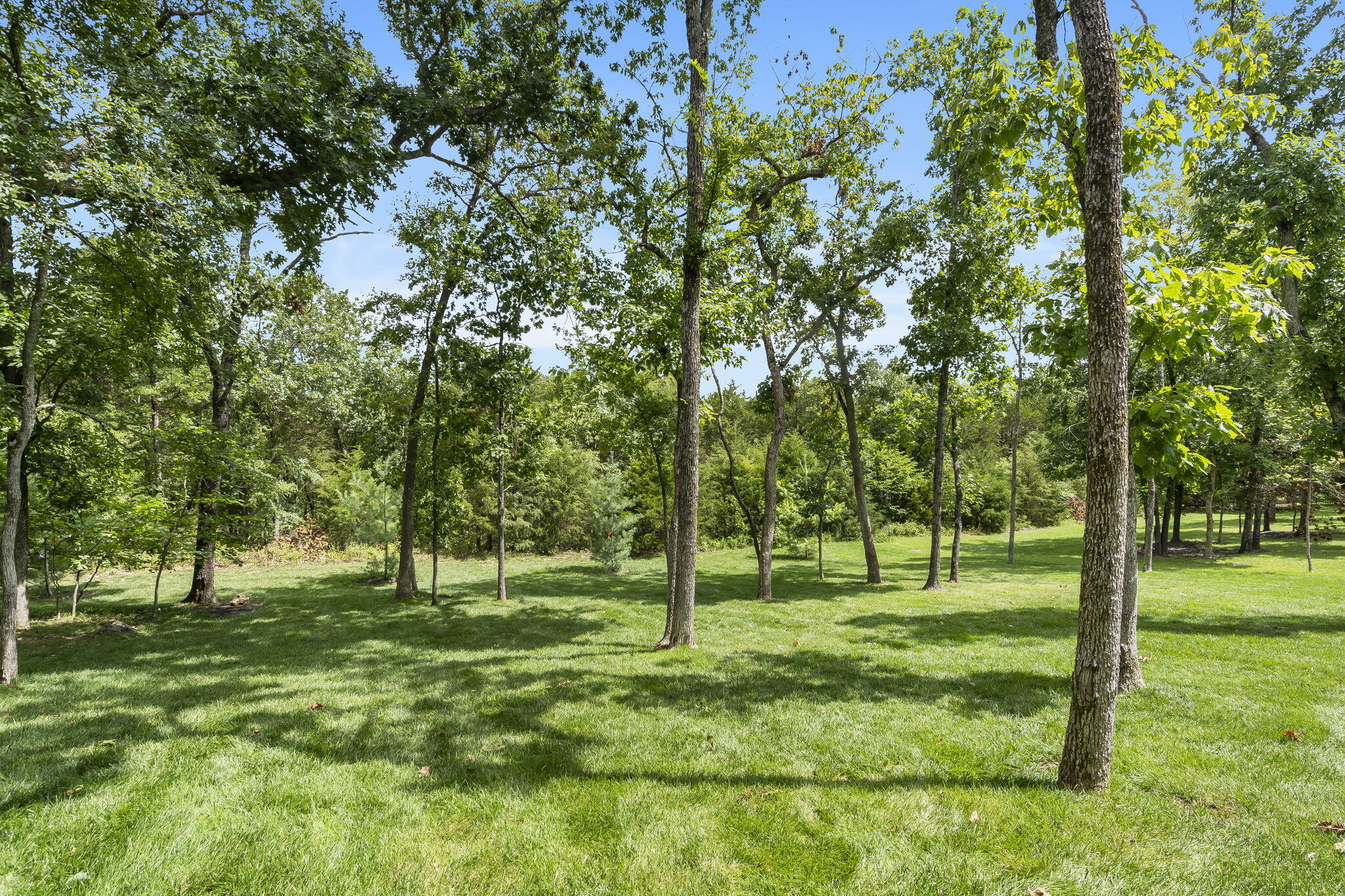 Branson Hills - Residential