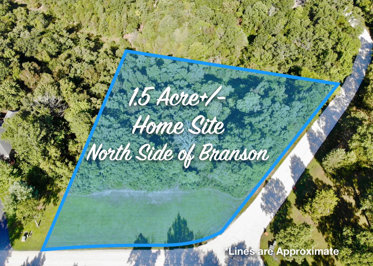 A big, beautiful corner lot waiting for your new home! Located in beautiful Hidden Meadow in the ideal North Branson location with spectacular homes all around, county maintained roads, no HOA dues, and public sewer connection available! The combination is almost impossible to find! Come build your dream home in this great community!