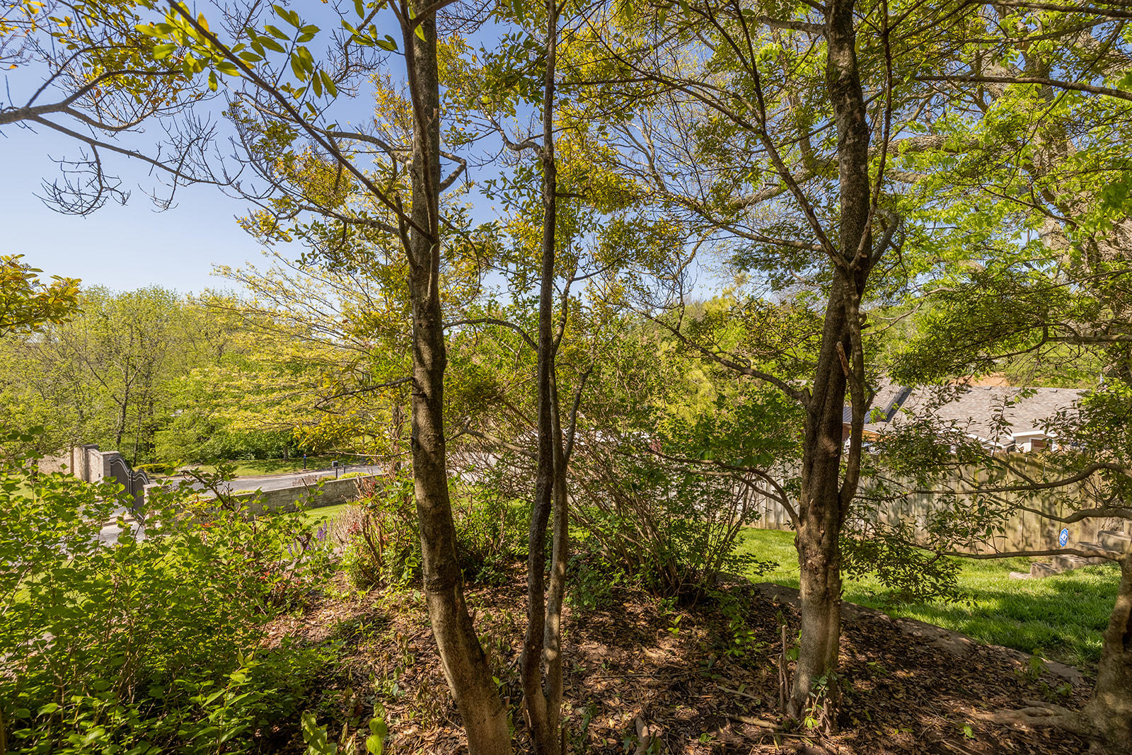 Timberbrook - Residential