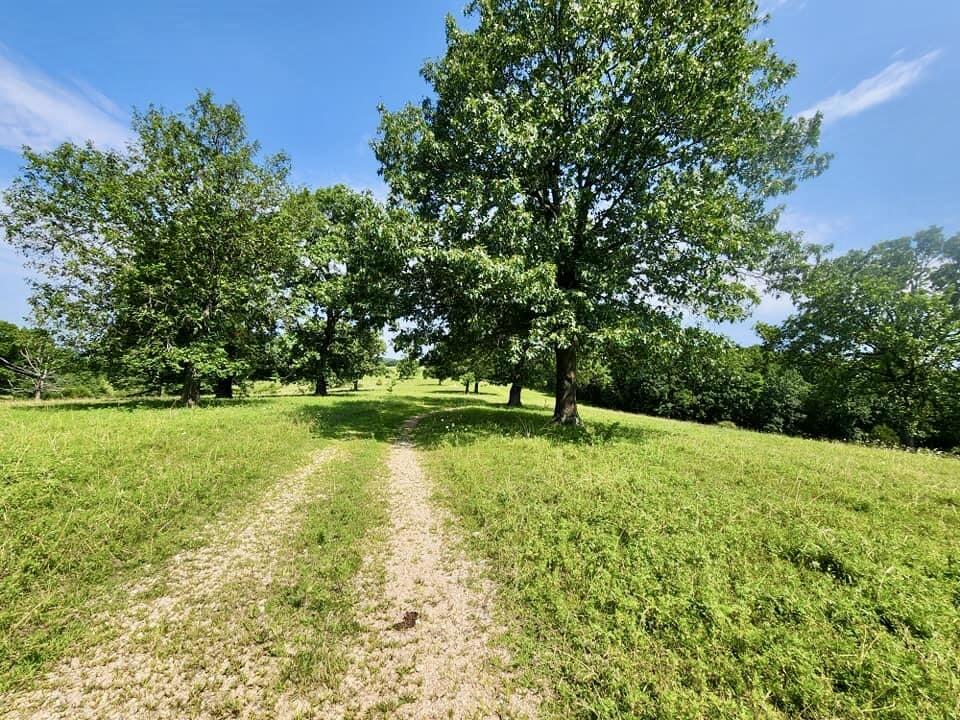 N/A - Farm