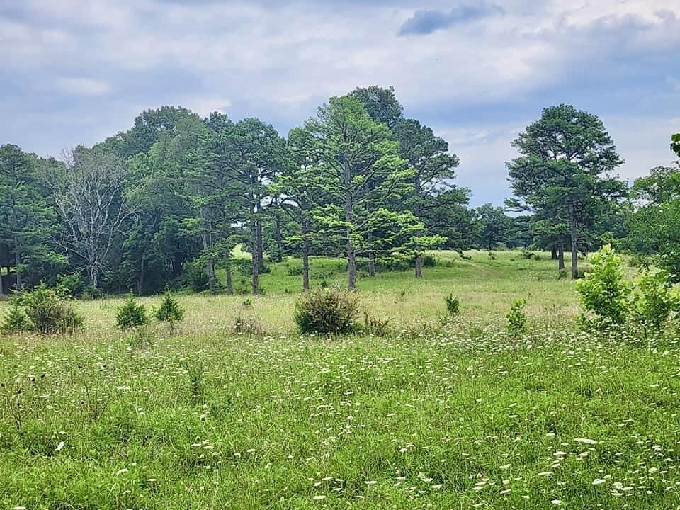 N/A - Farm