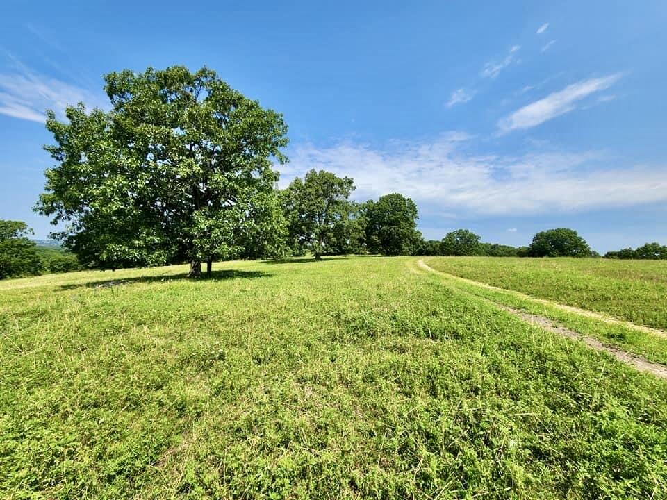 N/A - Farm