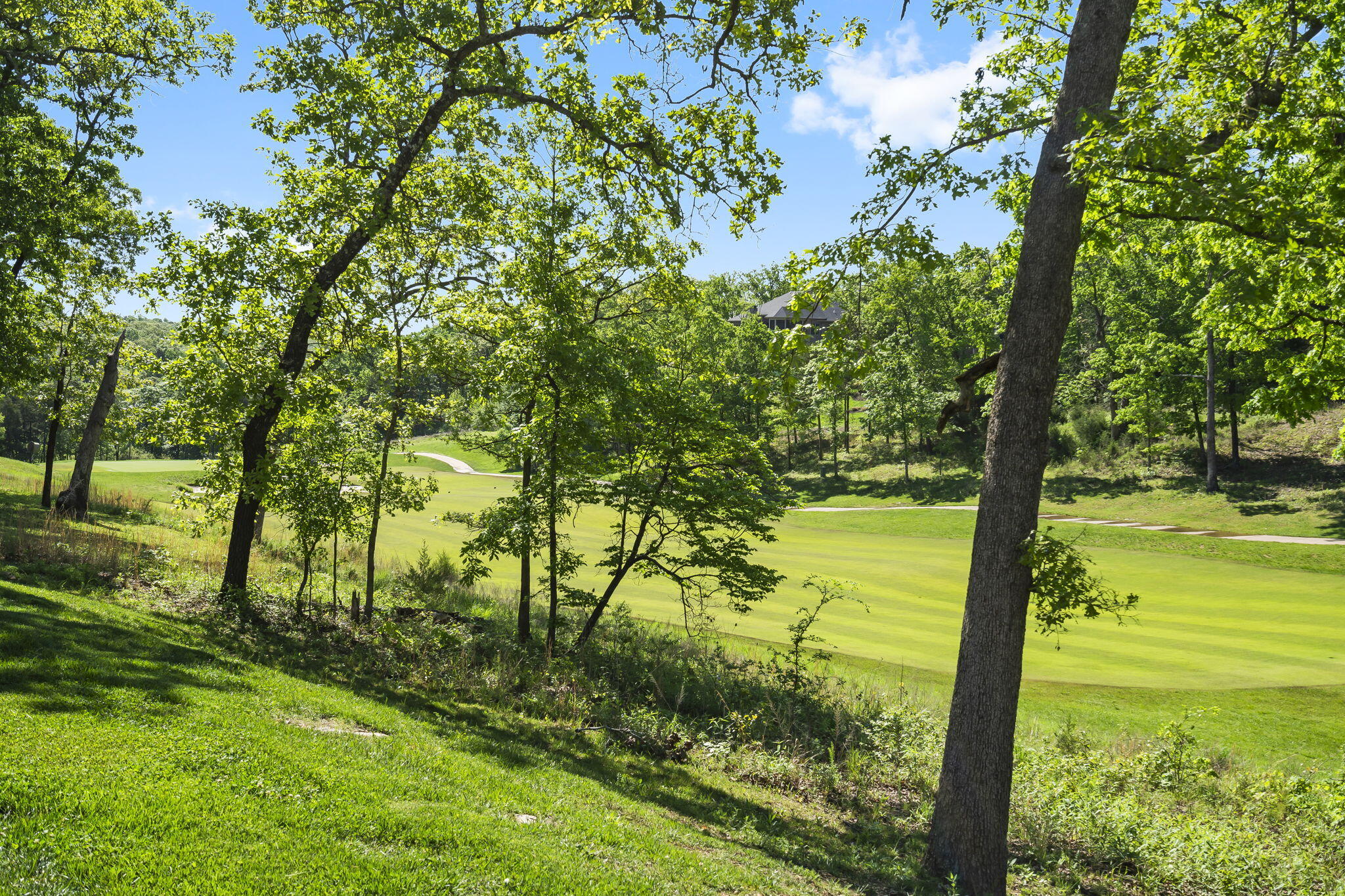 Branson Hills - Residential