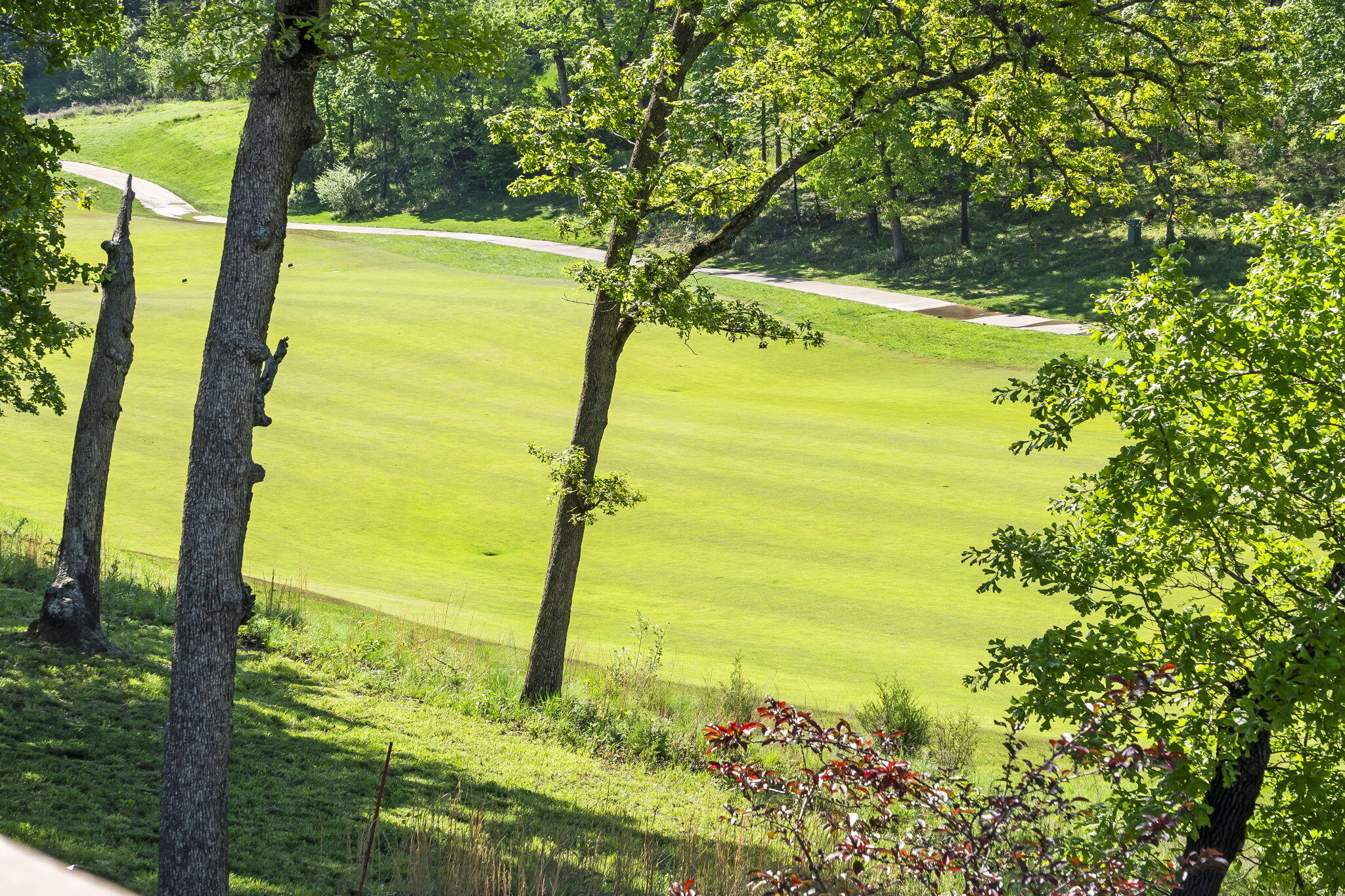 Branson Hills - Residential