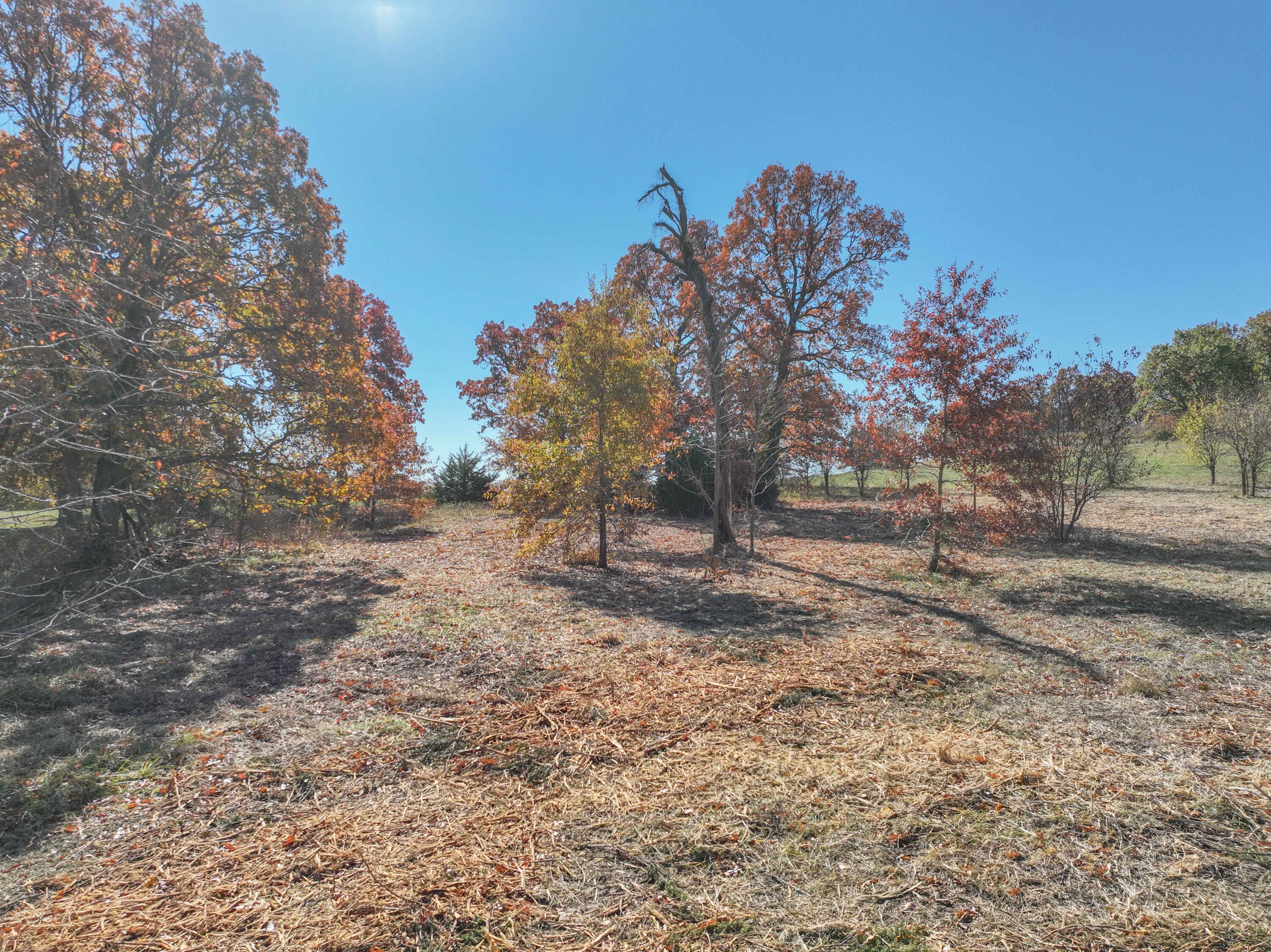 Southknoll - Land