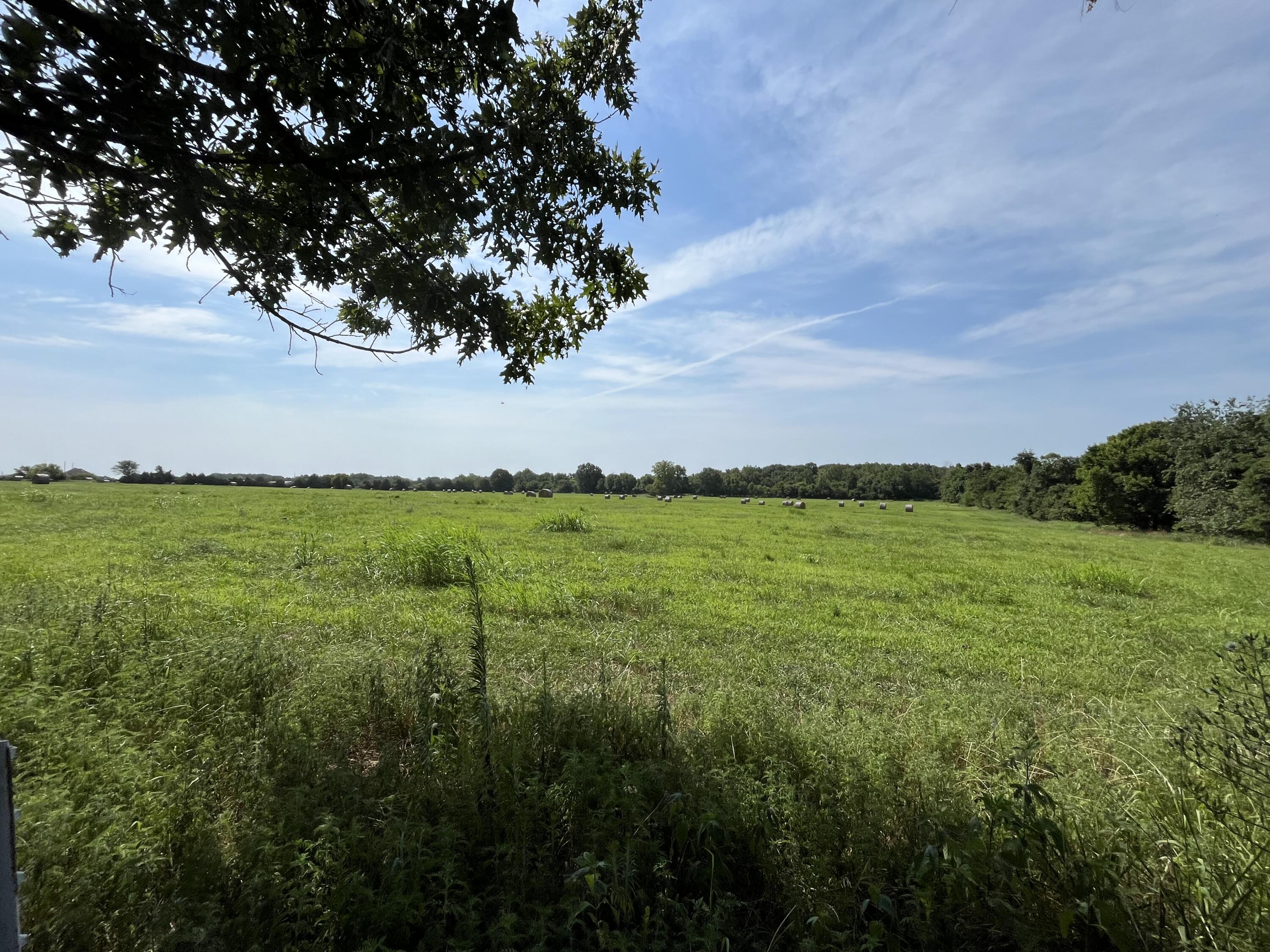 This is a beautiful farm. It has wide open fields for hay and plenty of shade of the cattle. Great farmland. pond, fence and cross fenced.  Some wooded area and some hay producing area.