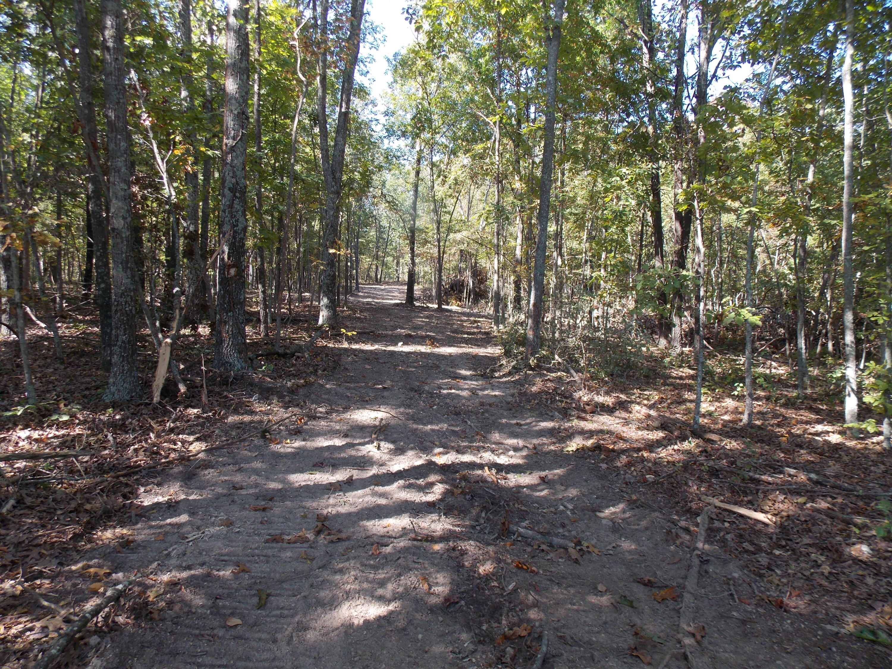 A LARGE TRACT WITH HIGHWAY FRONTAGE.  HAS ELECTRIC ALONG THE FRONT.  THERE ARE 2 TRACTS OF 120 ACRES, AND 2 TRACTS THAT ARE 40 ACRES EACH.  THERE IS ALO A 52 ACRE TRACT ALONG THE HIGHWAY THAT IS MOSTLY OPEN.  THIS IS A UNIQUE PROPERTY THAT IS CLOSE TO AVA, AND ONLY 30 MILES OZARK.  PERFECT COMBO OF WOODS AND PASTURE, WITH SOME BEAUTIFUL BUILD SITES.  SMALLER TRACTS MAY ALSO BE AVAILABLE.