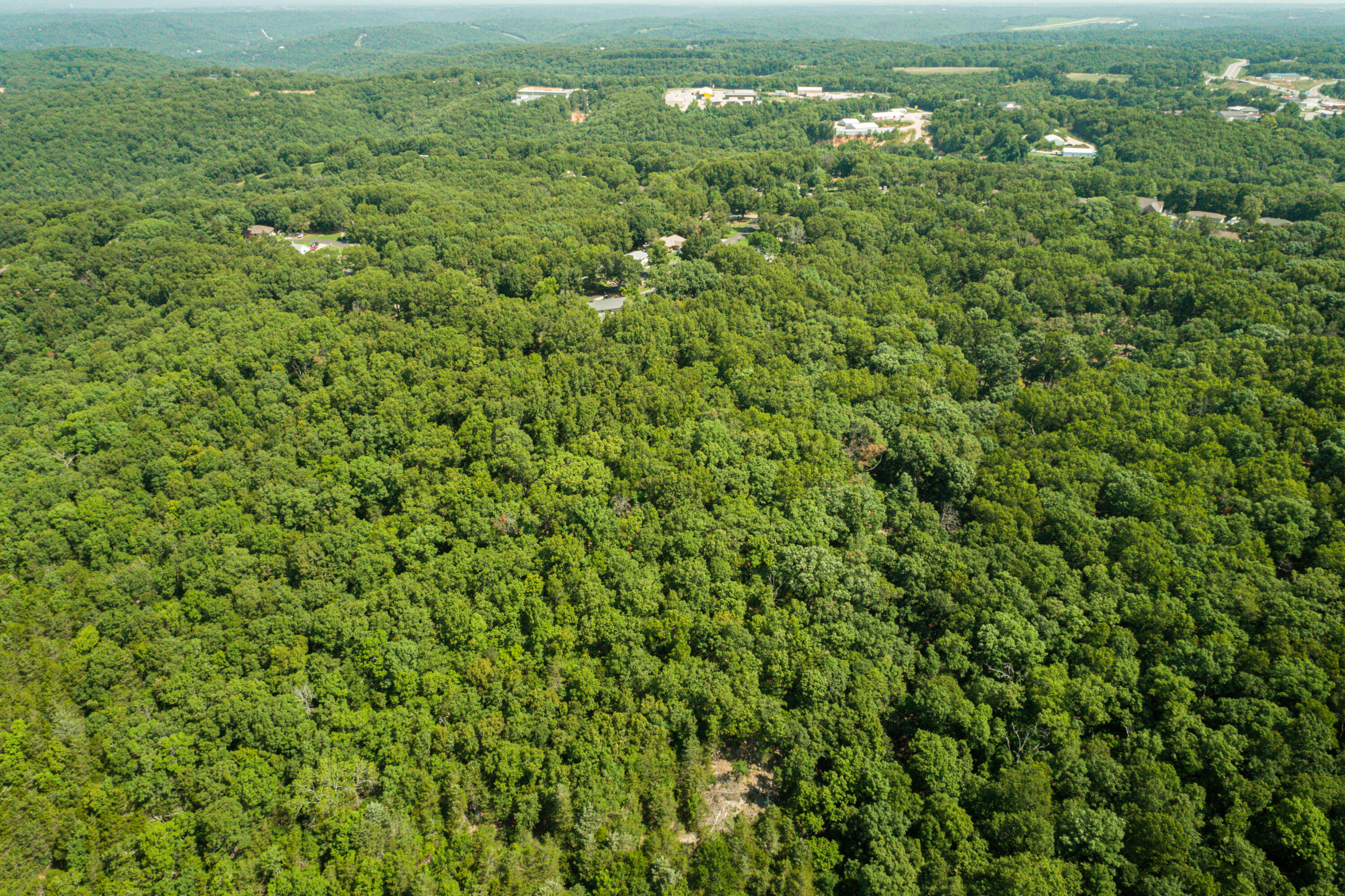 Photo 6 of 8 of 14 Acres Northwoods Drive land
