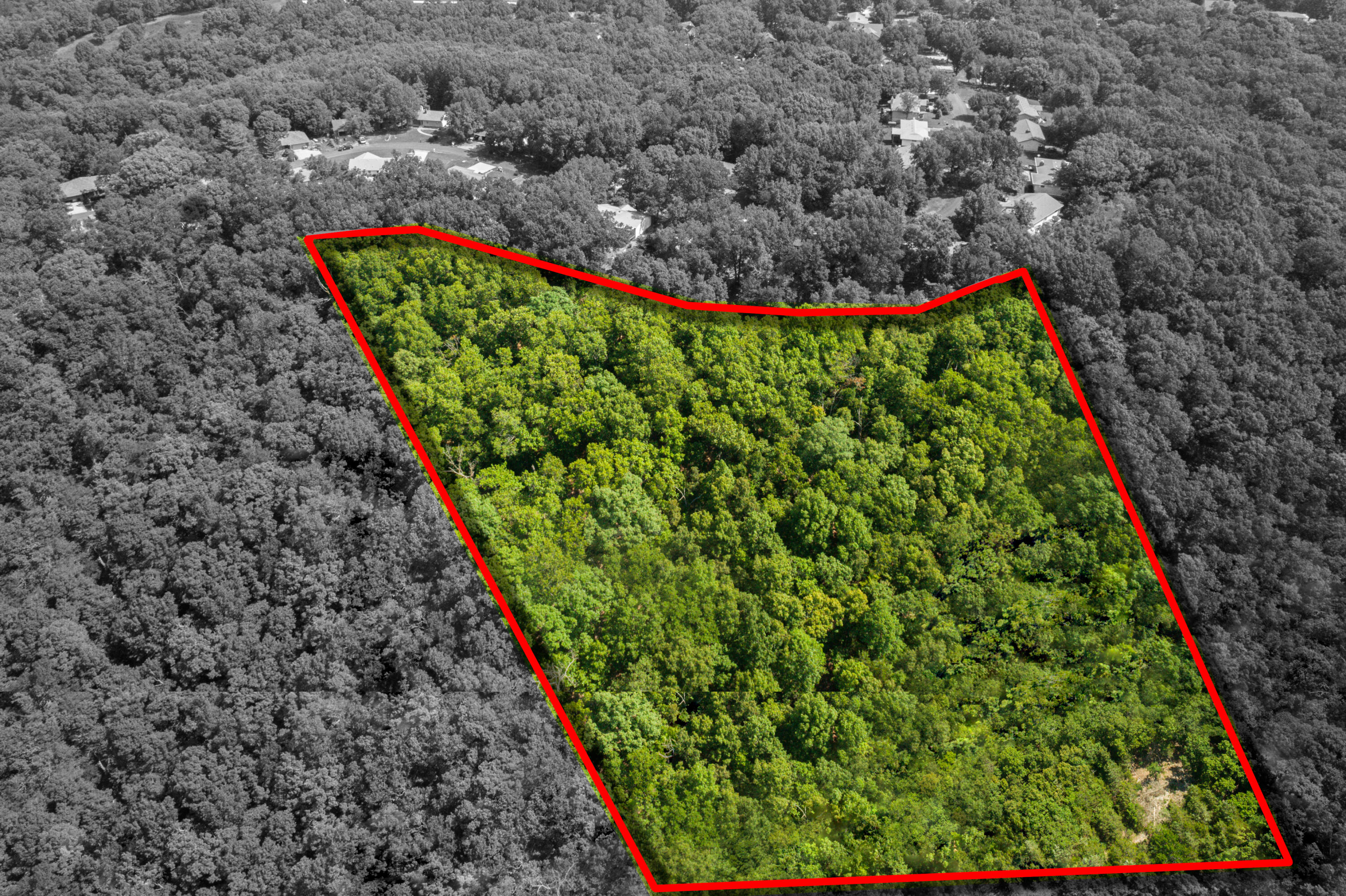 Photo 2 of 8 of 14 Acres Northwoods Drive land