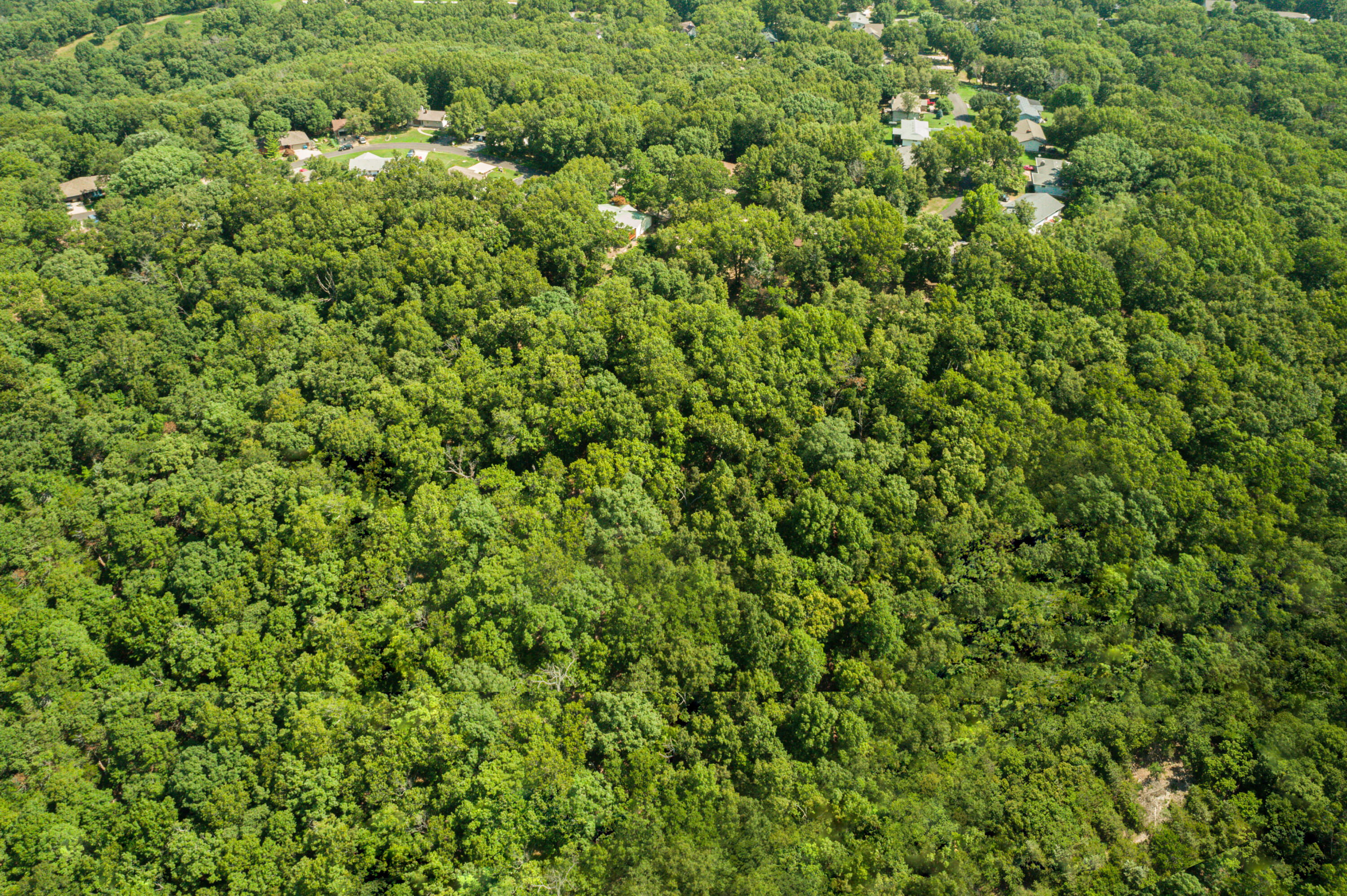 Photo 3 of 8 of 14 Acres Northwoods Drive land